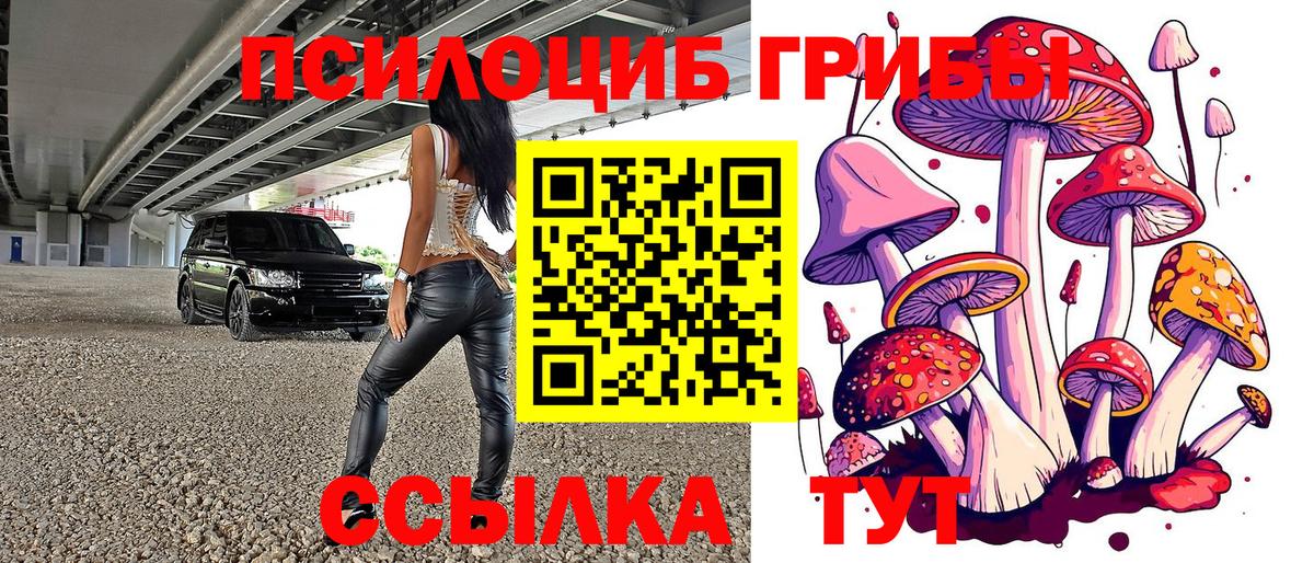 Псилоцибиновые грибы Cubensis Лабинск