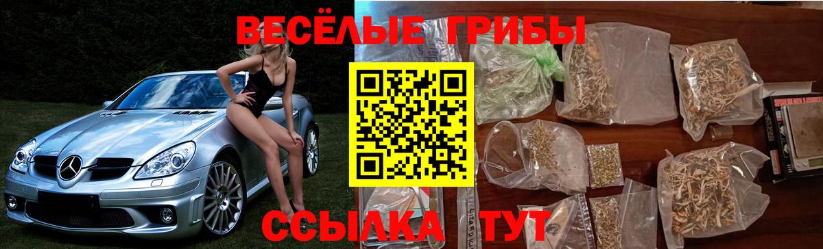 Галлюциногенные грибы мицелий  Вход с VPN  Лабинск  Псилоцибиновые грибы мухоморы 